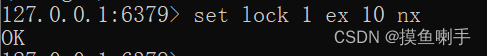 redis分布式锁代码实现_redis分布式锁底层实现_https://bianchenghao6.com/blog_后端_第4张