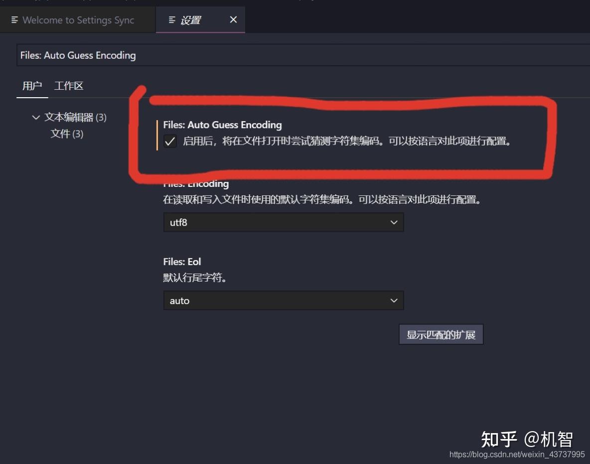 vscode设置中文模式_怎么把vscode改成中文_https://bianchenghao6.com/blog_后端_第25张