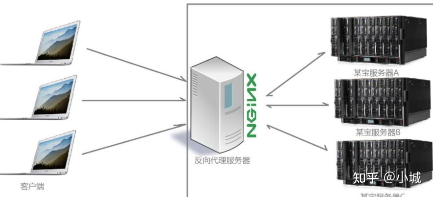 nginx是什么协议_网页出现nginx什么意思_https://bianchenghao6.com/blog_后端_第1张