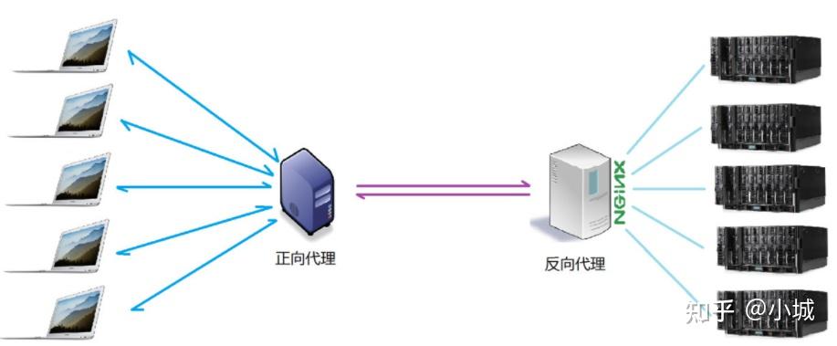 nginx是什么协议_网页出现nginx什么意思_https://bianchenghao6.com/blog_后端_第3张