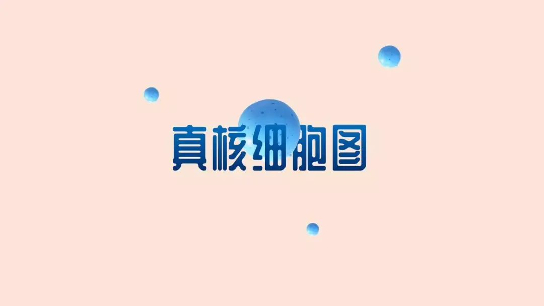 word文件没有保存怎么找回来_word文件保存了怎么恢复之前文件_https://bianchenghao6.com/blog_后端_第59张