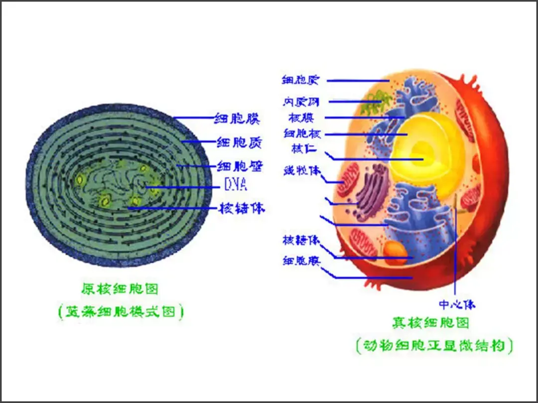 word文件没有保存怎么找回来_word文件保存了怎么恢复之前文件_https://bianchenghao6.com/blog_后端_第83张