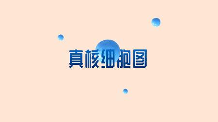 word文件没有保存怎么找回来_word文件保存了怎么恢复之前文件_https://bianchenghao6.com/blog_后端_第85张