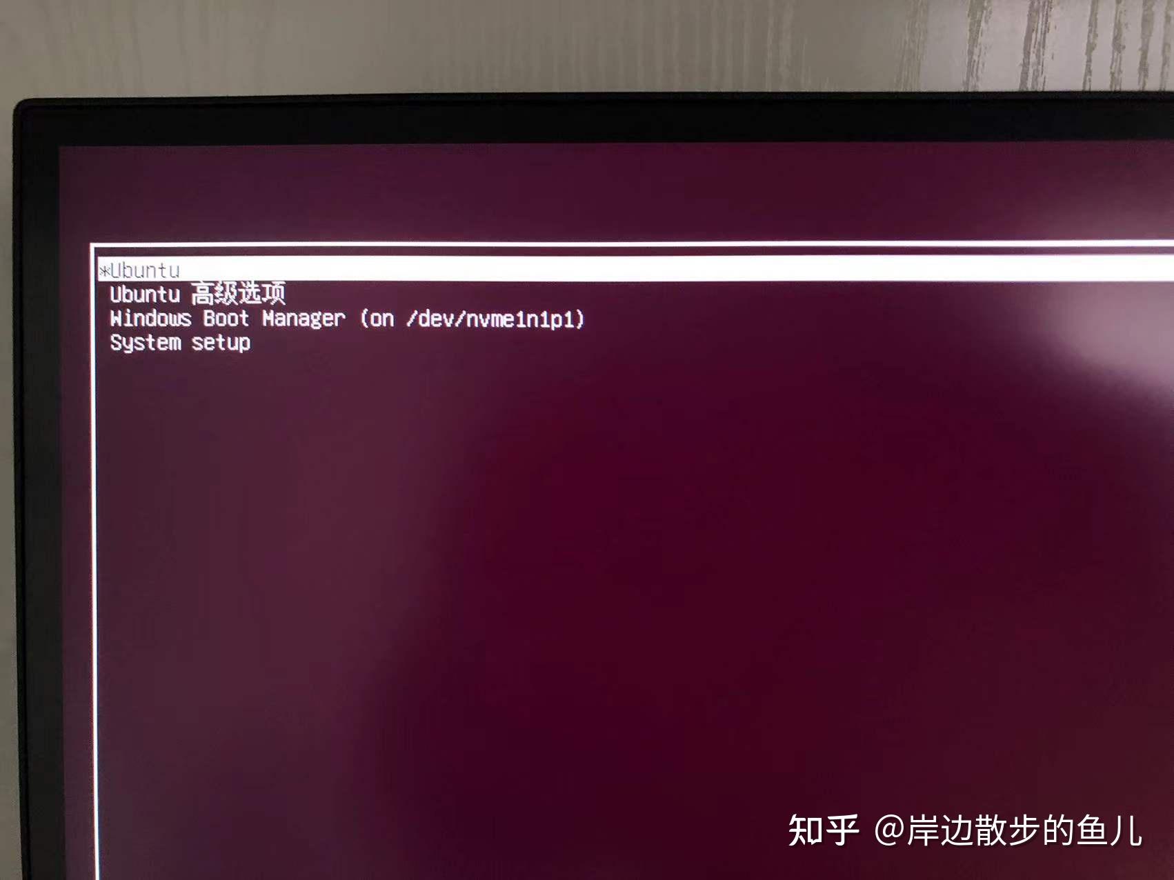 Ubuntu18.04安装教程_Ubuntu18.04安装_https://bianchenghao6.com/blog_后端_第29张