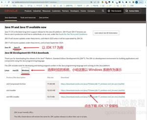 下载 JDK 17 安装包