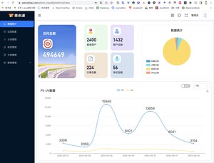 技术派-Admin统计页