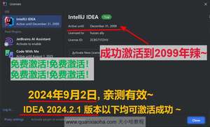 IDEA 2024.2.1 版本激活到 2099 年截图