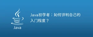 java初学者：如何评判自己的入门程度？