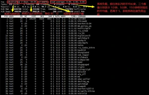Linux top 命令