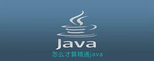 怎么才算精通java