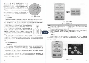 太赞了！美团T9终于整理出Java架构之完美设计实战开源文档